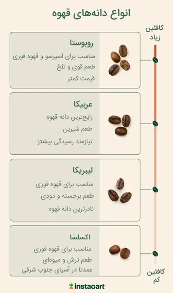عکس درخت قهوه روبوستا