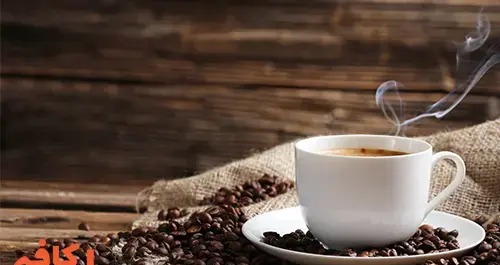 عکس درخت قهوه روبوستا