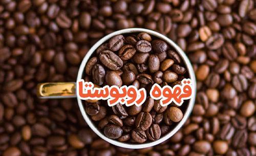 عکس درخت قهوه روبوستا
