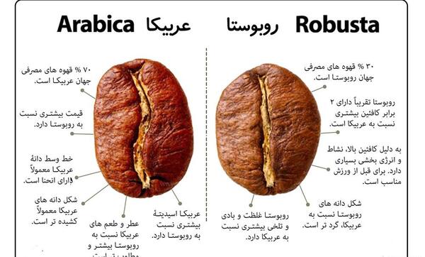عکس از قهوه روبوستا