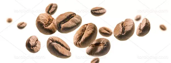 عکس دانه قهوه خام