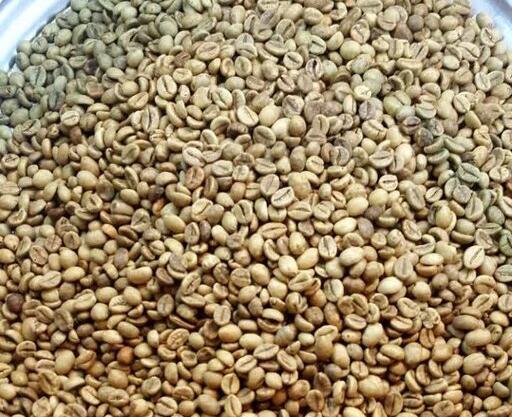 عکس دانه قهوه خام