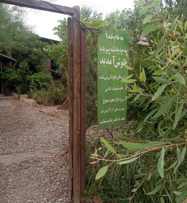 دانلود عکس پیرمرد قهوه خانه