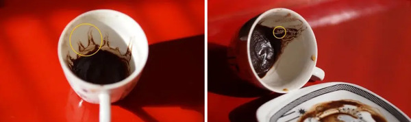 فال قهوه با ارسال عکس فنجان رایگان