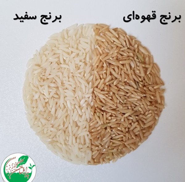 عکس برنج قهوه ایی