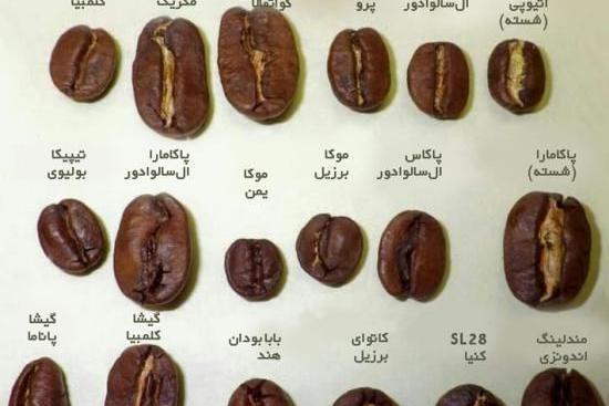 عکس قهوه آرزوی مرگ
