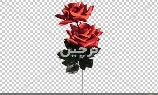 عکس های قشنگ قرمز