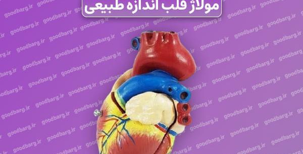 قلب انسان عکس واقعی
