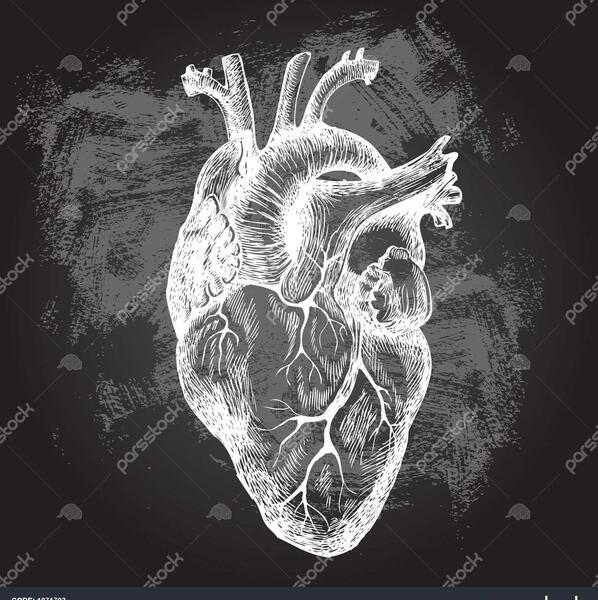 عکس از داخل قلب انسان