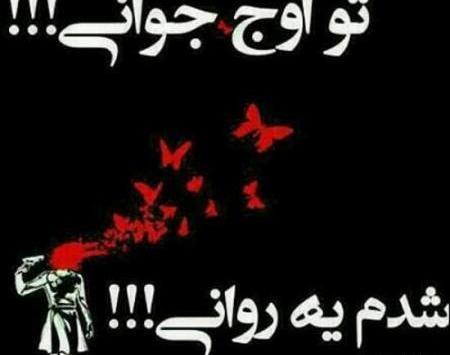 عکس پروفایل قشنگ لاتی