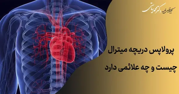 عکس دریچه های قلب انسان