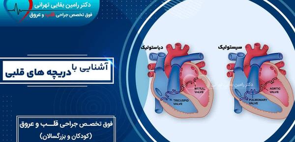 عکس دریچه های قلب انسان