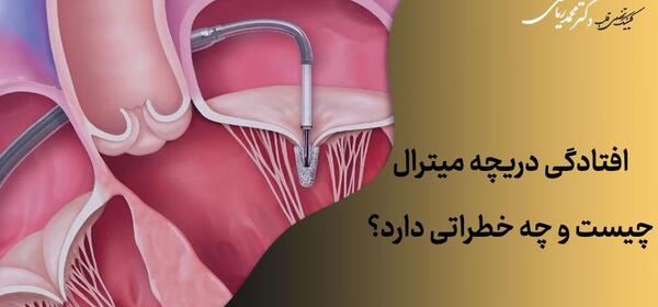 عکس دریچه های قلب انسان