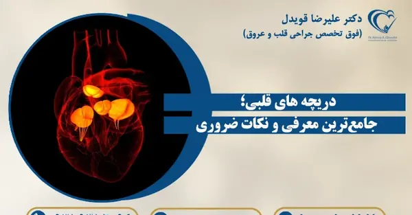 عکس دریچه های قلب انسان