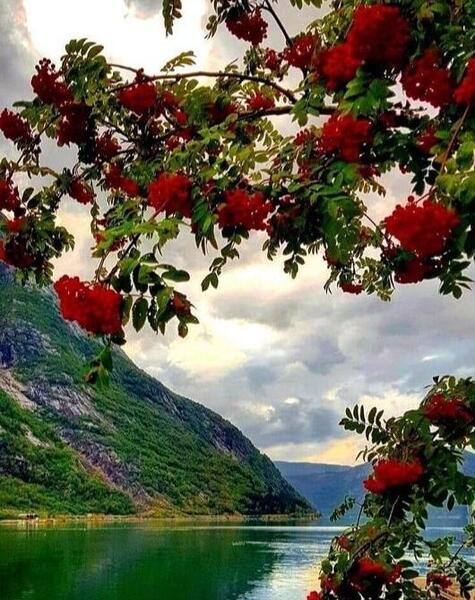 عکس قشنگ ترین منظره دنیا