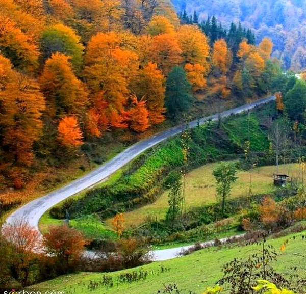 عکس پروفایل منظره قشنگ