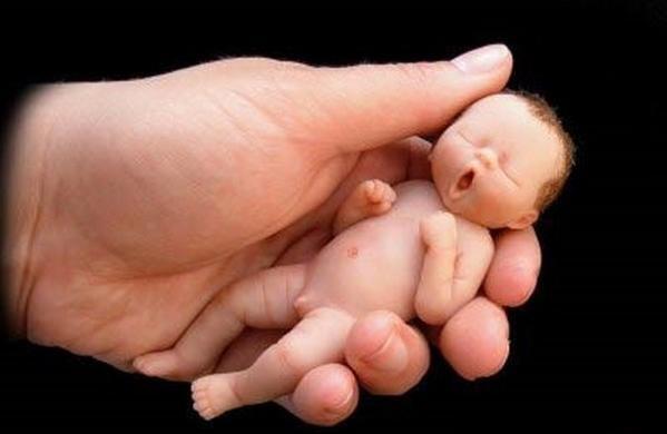 عکس قشنگ ترین نوزاد جهان