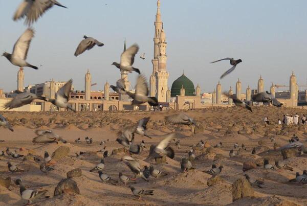 عکس قبر امامان در بقیع