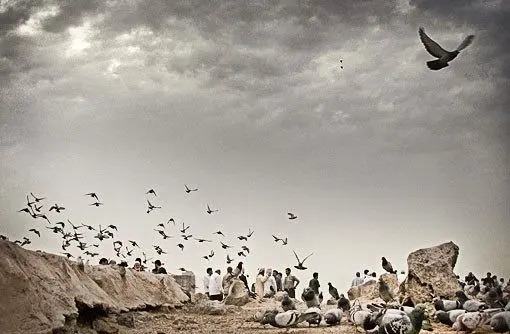عکس قبر حضرت فاطمه سلام الله علیها