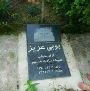 مرگ عکس سنگ قبر مایکل جکسون