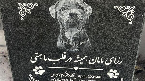 عکس فیک قبر رفیق