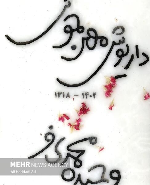 عکس قبر داریوش مهرجویی