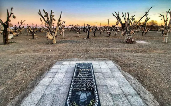 عکس قبر جن ها