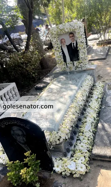 عکس قبر پسر جوان