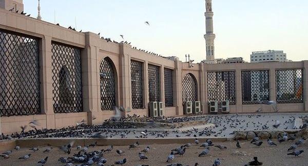 عکس قبرستان بقیع حضرت فاطمه