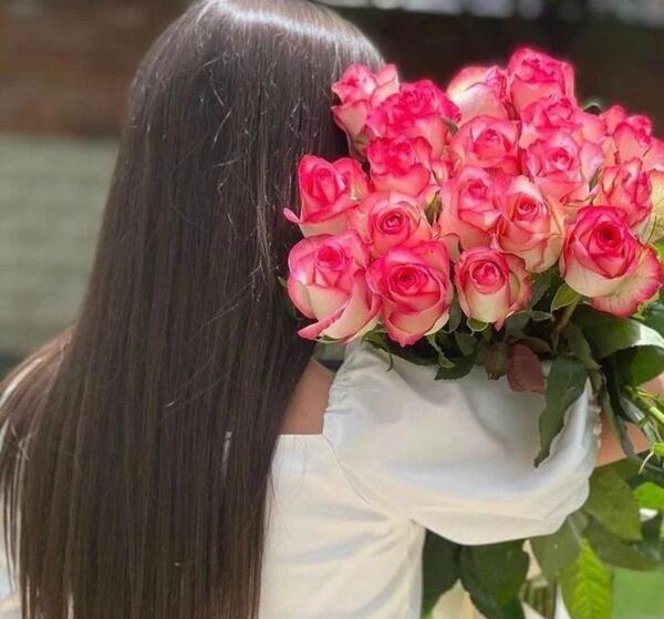 عکس گل رز زیبا و قشنگ