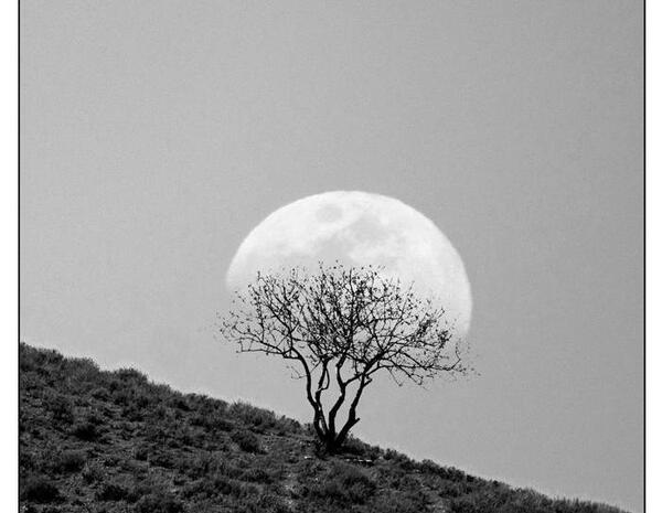 عکس های قشنگ سیاه و سفید