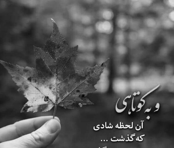 عکس عاشقانه سیاه سفید قشنگ