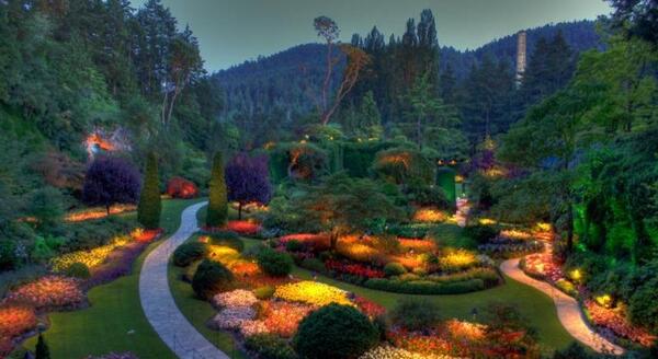 عکس قشنگ ترین گل طبیعی