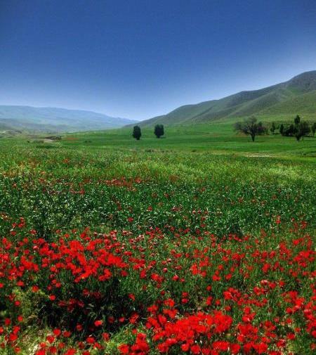عکس های قشنگ از طبیعت