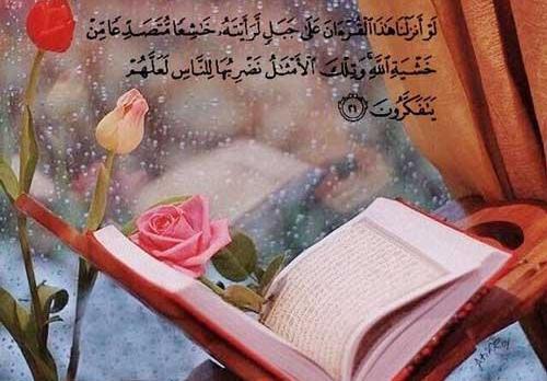 عکس قران و گل برای پروفایل