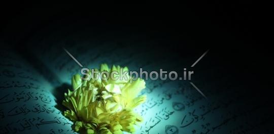 دانلود عکس قرآن و گل