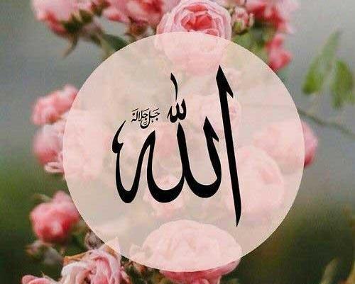 دانلود عکس قرآن و گل