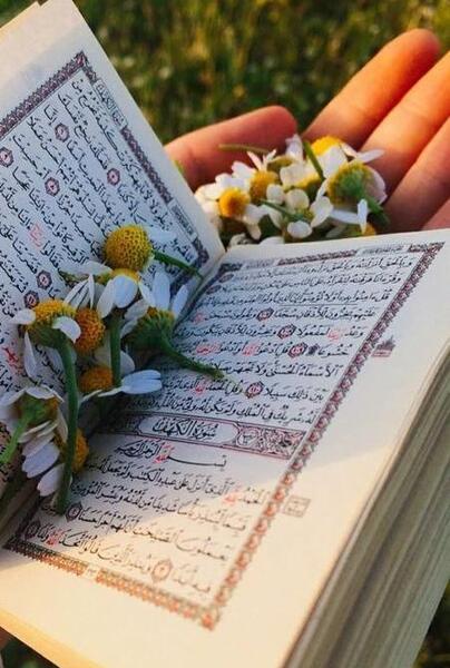 دانلود عکس قرآن و گل