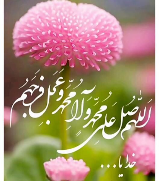 عکس صفحه ۶۹ قران پنجم