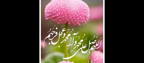 عکس صفحه ۶۹ قران پنجم