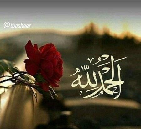 آیه عکس قرآن و گل