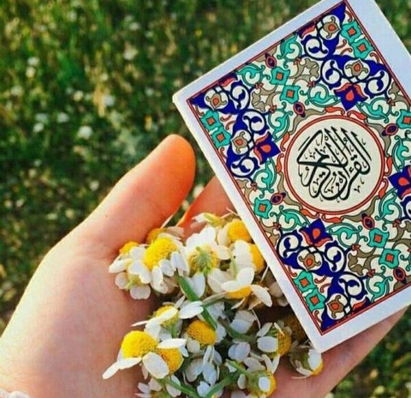 آیه عکس قرآن و گل