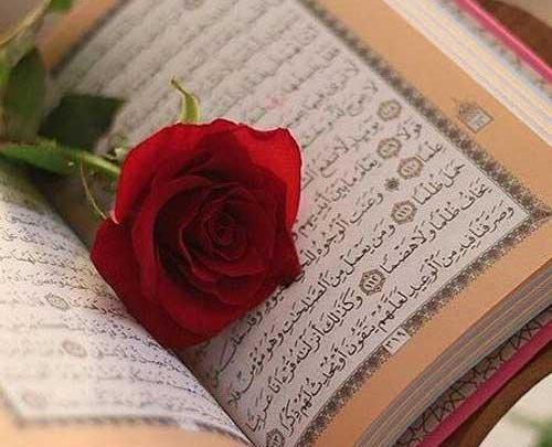 آیه عکس قرآن و گل