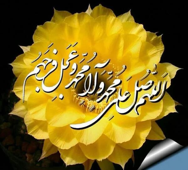 آیه عکس قرآن و گل