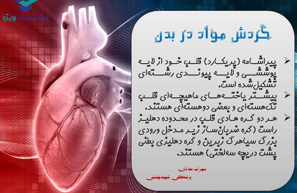 عکس قلب زیست دهم تجربی