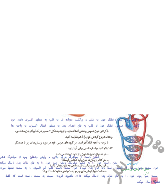 عکس قلب زیست دهم تجربی