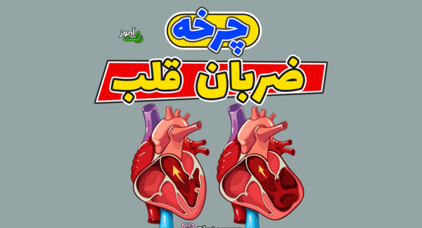 عکس قلب زیست دهم تجربی
