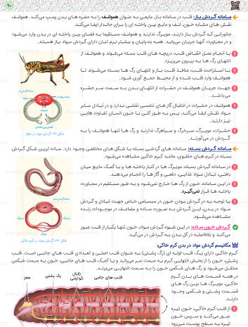 عکس قلب زیست دهم تجربی