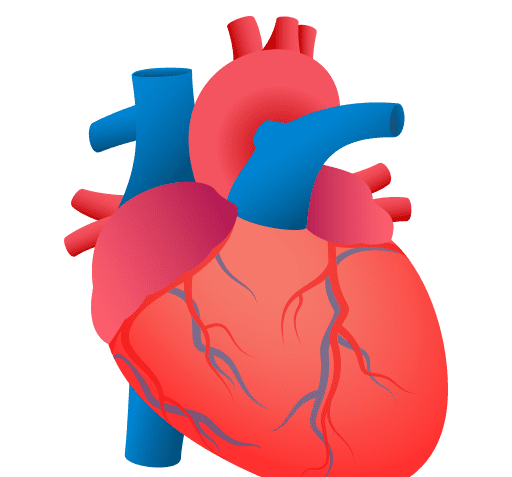 عکس قلب واقعی کارتونی