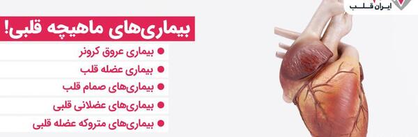 عکس ماهیچه قلب و معده